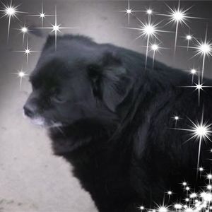 Meet your Posher, Jan